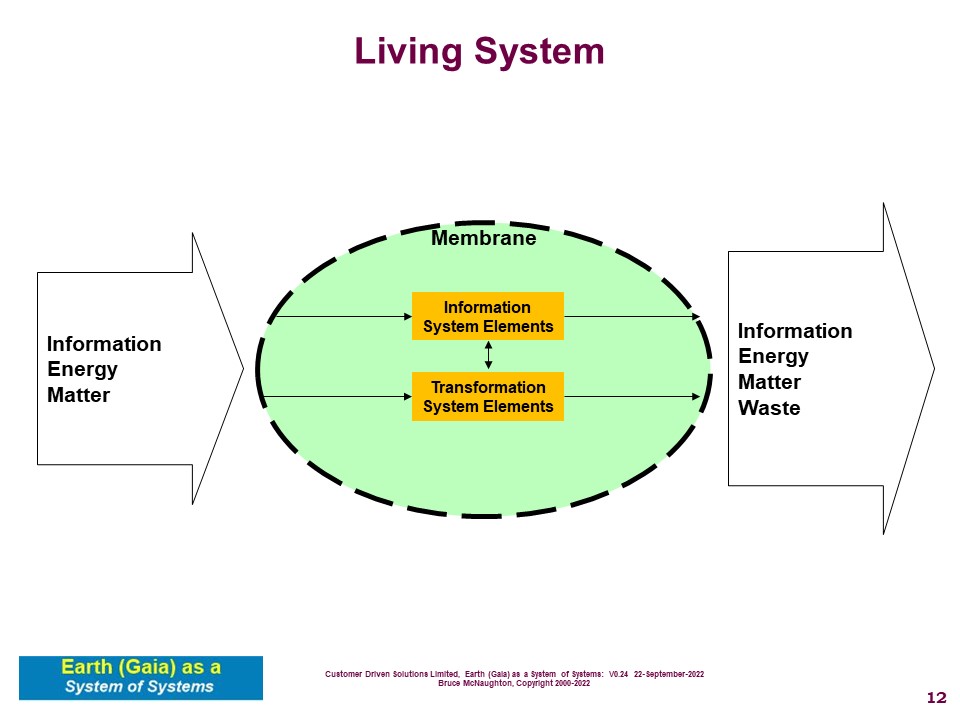 Living System Top Level Model